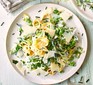 Pasta primavera on a plate